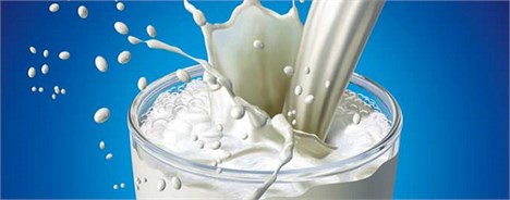 کاهش رقم "صادرات شیر" با توجه به تولید 10 میلیون تنی در کشور