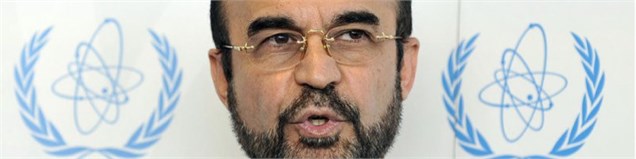 رضا نجفی: مذاکرات ایران و آژانس بسیار سازنده بود