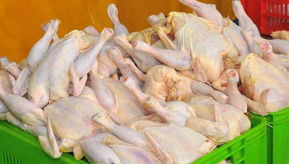 وزارت کشاورزی بالا بودن سرب در گوشت مرغ را رد کرد