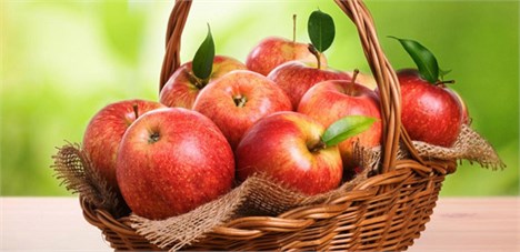 مازاد یک میلیون تنی تولید سیب در سالی که گذشت