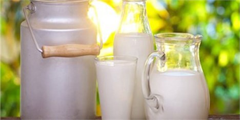 قزوین رتبه سوم تولید شیر در کشور را به خود اختصاص داد