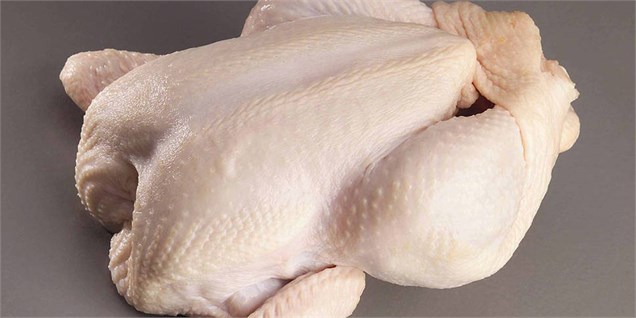 ایران رتبه ششم دنیا را در تولید گوشت مرغ دارد