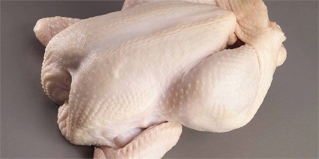 ایران ششمین تولیدکننده گوشت مرغ در دنیاست