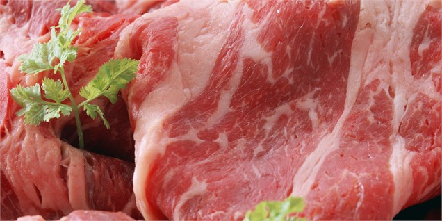 صادرات گوشت را گران نکرد؛ دلالان قیمت را افزایش دادند