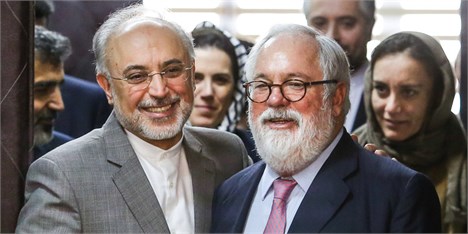 صالحی: همکاری‌های هسته‌ای ایران و اروپا می‌تواند از فردو آغاز شود