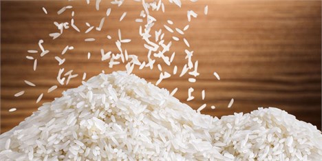 قیمت برنج کاهش می یابد؟!