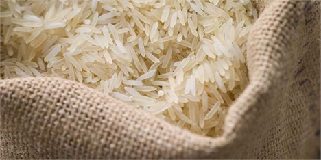 پشت‌پرده گرانی برنج