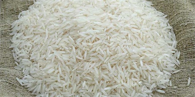 رشد ۸ درصدی تولید برنج