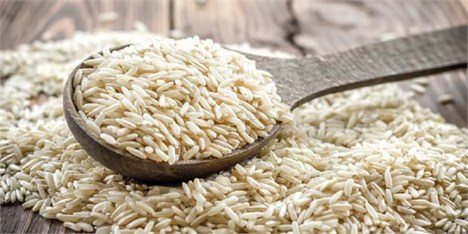 افزایش ۲۰ درصدی تولید برنج/ دلالان عامل اصلی گرانی