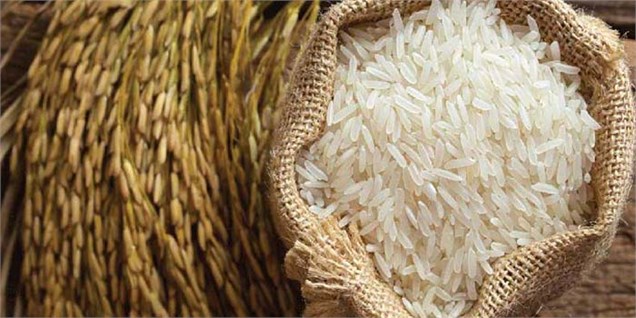 کمبود برنج و شکر نداریم/ گران‌فروشی به وزارت کشاورزی ربطی ندارد