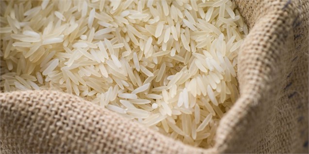 حذف واسطه‌ها راهکار کاهش قیمت برنج ایرانی
