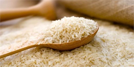 ابلاغ بخشنامه جدید واردات برنج به گمرکات