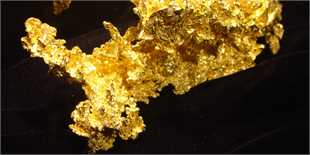 صعود قیمت طلا به بالاترین قیمت در یک هفته اخیر