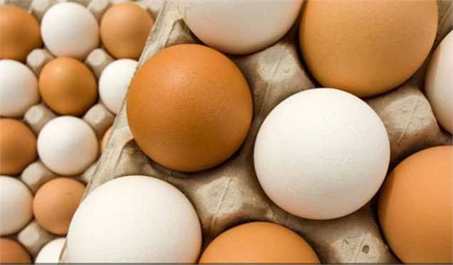 افت 500 تومانی قیمت هر کیلو تخم‌مرغ در بازار/ خبری از مشوق صادراتی تخم‌مرغ نیست