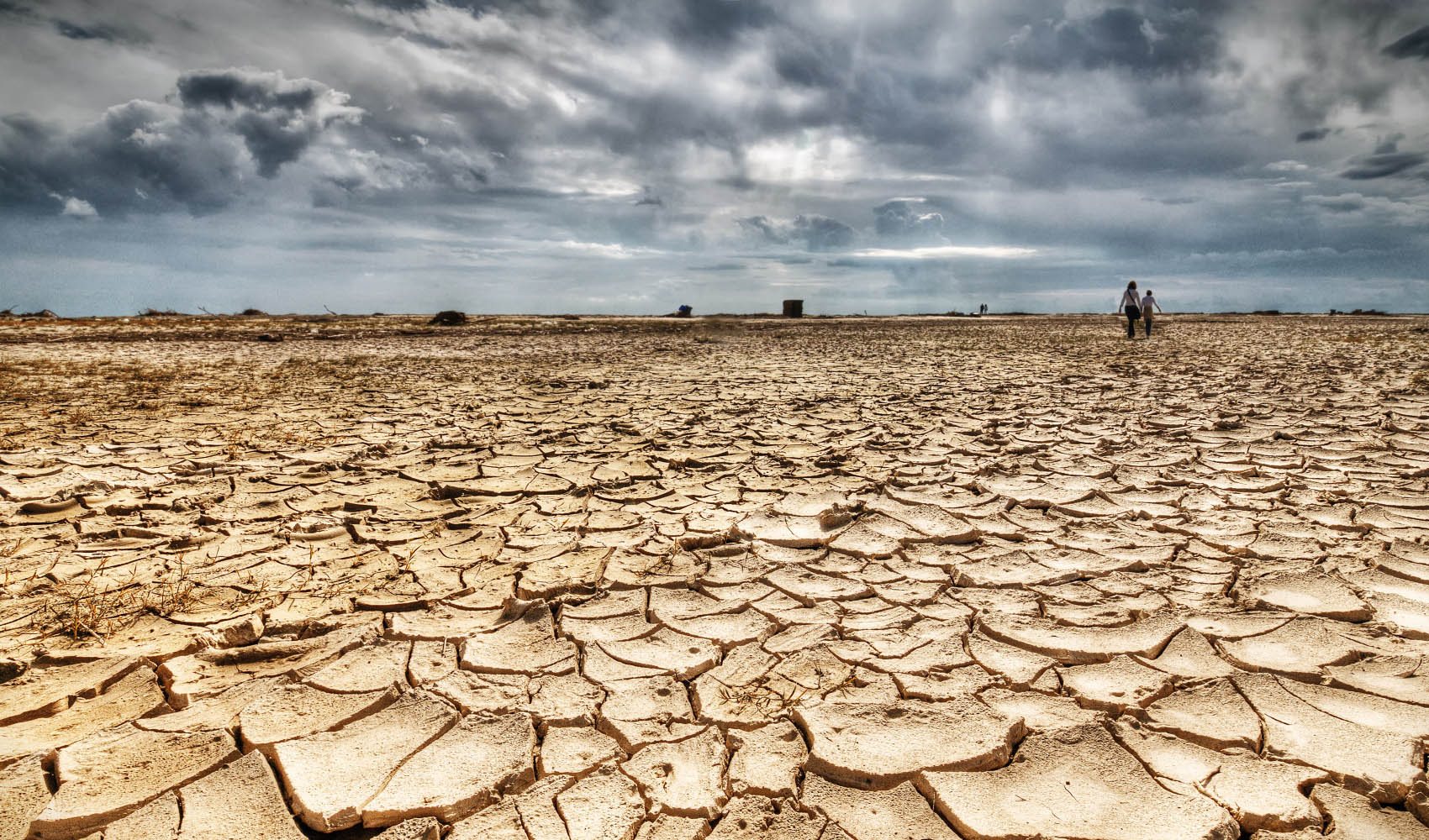 تدوین سند بیابان‌زدایی با همکاری فائو