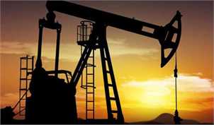 کاهش چشمگیر قیمت جهانی نفت