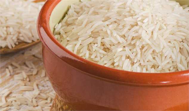 فعلا چاره‌ای جز واردات برنج نداریم
