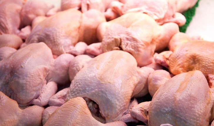 افت چشمگیر قیمت مرغ در بازار/ بازار  آشفته نهاده‌های دامی