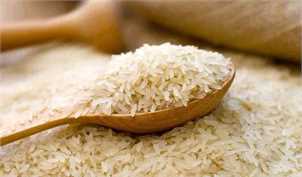 ۳۰۰ هزار تن برنج وارداتی معطل تخصیص ارز