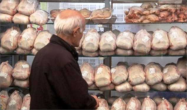 تعادل در بازار نهاده‌های دامی/ مرغ سایز با قیمت هر کیلو ۱۴۵۰۰ تومان خریداری می‌شود
