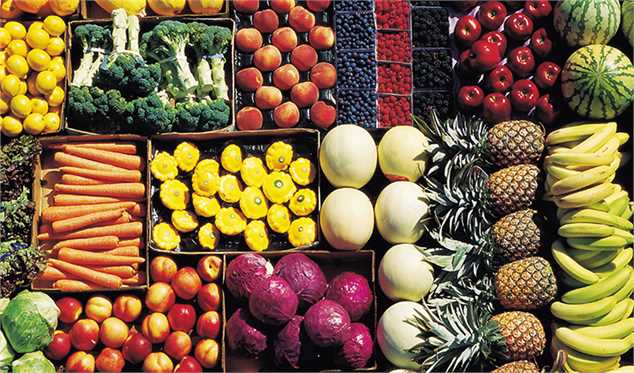 افزایش ۲۶ درصدی صادرات محصولات کشاورزی
