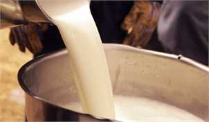 قیمت تضمینی شیر خام درب دامداری، کیلویی ۱۲ هزار تومان تعیین شد