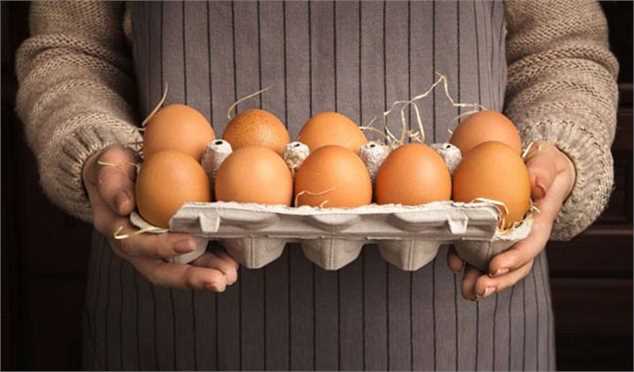 تازه‌ترین قیمت تخم مرغ در میادین و بازار