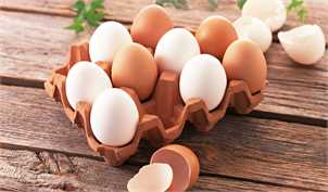 صادرات تخم‌مرغ ۱۰ درصد افزایش یافت