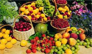 صادرات میوه ایران به هند ۲ برابر شد