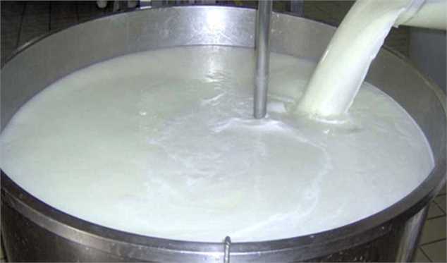 تولید شیرخام تا بیش از ۱۴ میلیون تن مستلزم حمایت از تولید است