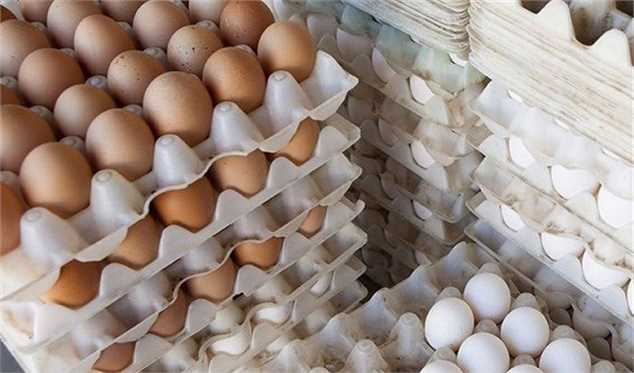 صادرات ۳۹ هزارتن تخم‌مرغ از ابتدای سال