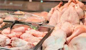تولید گوشت مرغ در سال گذشته به 2.1 میلیون تن رسید
