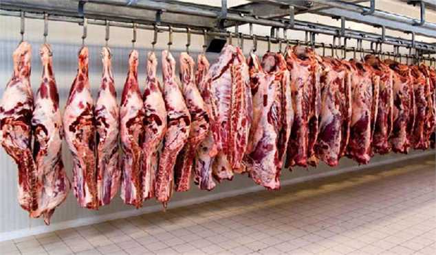 سود بازرگانی انواع گوشت صفر شد