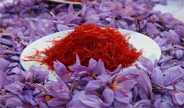 سهم ایران از تجارت زعفران دنیا ۴۰۰ میلیون دلار است