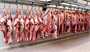 رشد ۲ درصدی عرضه گوشت قرمز در کشتارگاه‌های رسمی