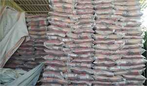 واردات برنج ممنوع شد/ خرید توافقی برنج داخلی در ازای واردات این محصول